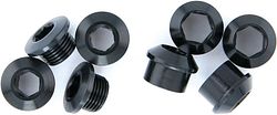 Truvativ Kettenblattschraube 2-fach SRAM GX 1000 schwarz