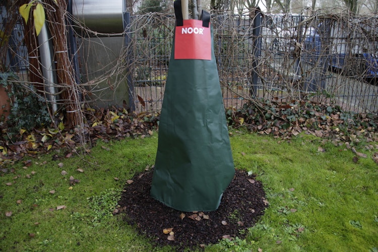 NOOR Frogbag Bewässerungssack 100l