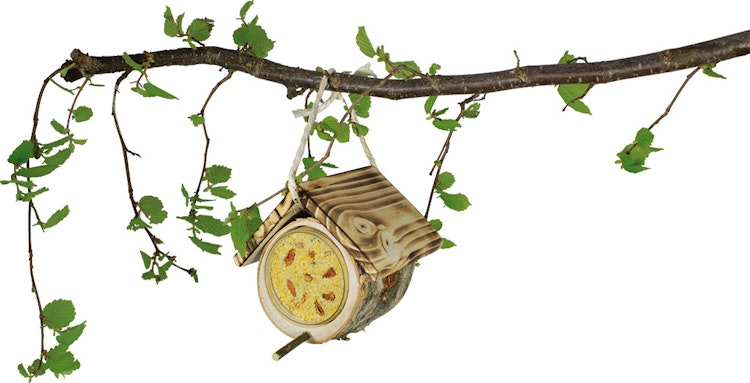 JR FARM Peanut Pot Erdnusshütte für Wildvögel inklusive Nachfüller