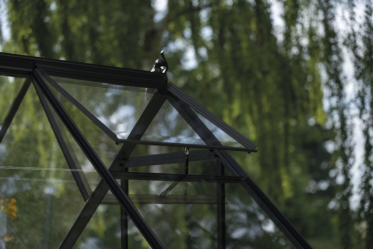 Halls Gewächshaus Icon 6 - 2,5 m² / 3,7 m² / 4,9 m² / 6,1 m²