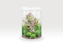 Vorschaubild BiOrb Aquarium TUBE 30 MCR