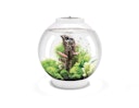 Vorschaubild BiOrb Aquarium CLASSIC 30 MCR
