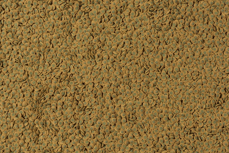 Tetra Pleco Wafer 250ml