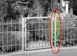 Alberts® Zaunsystem Madrid Klobenpfosten für Einzeltor