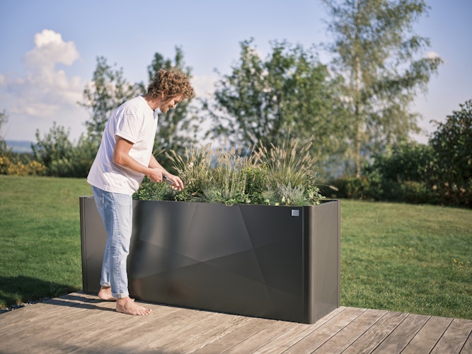 Biohort Pflanzbeet Belvedere B 201 x T 53 cm X-Design