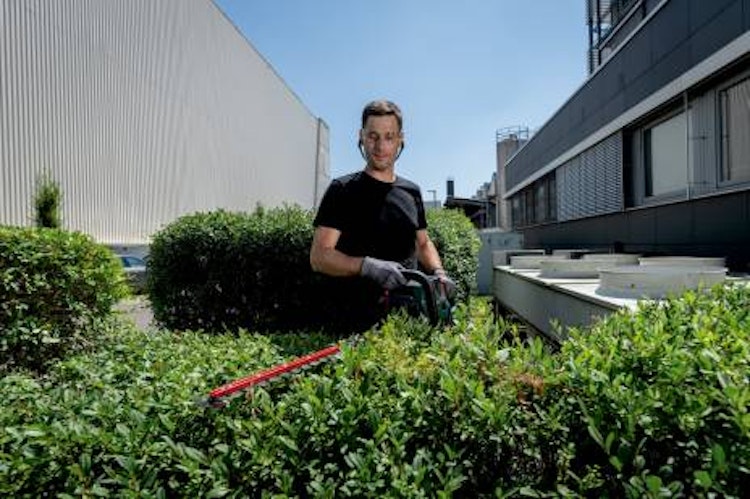 Metabo HS 18 LTX BL 65 * Akku-Heckenschere TV00 601723850