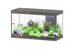 Aquatlantis Sublime 335 Wildeiche Dunkel Aquarium-Set