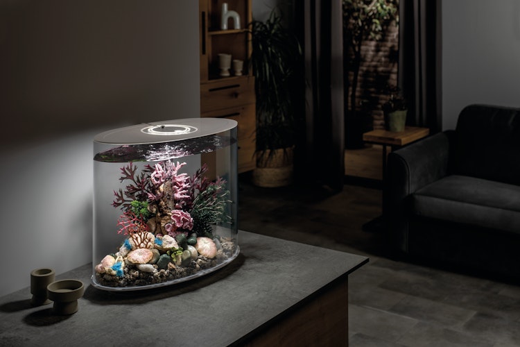 BiOrb Aquarium LOOP 30 MCR
