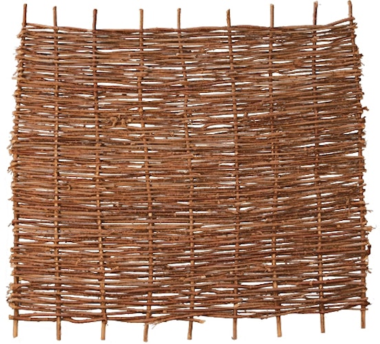 T&J PABLO Haselnusszaun