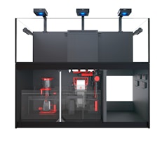 Red Sea REEFER MAX 750 G2+ System Aquarium mit Unterschrank