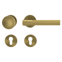 Griffwerk Wechselgarnitur VAYA 136 ARIS fast2fix Fast2Fix Rosetten rund Knopf R2 Gold matt R