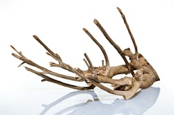 aquadeco Naturholz Talawa Holz Aquariendekoration