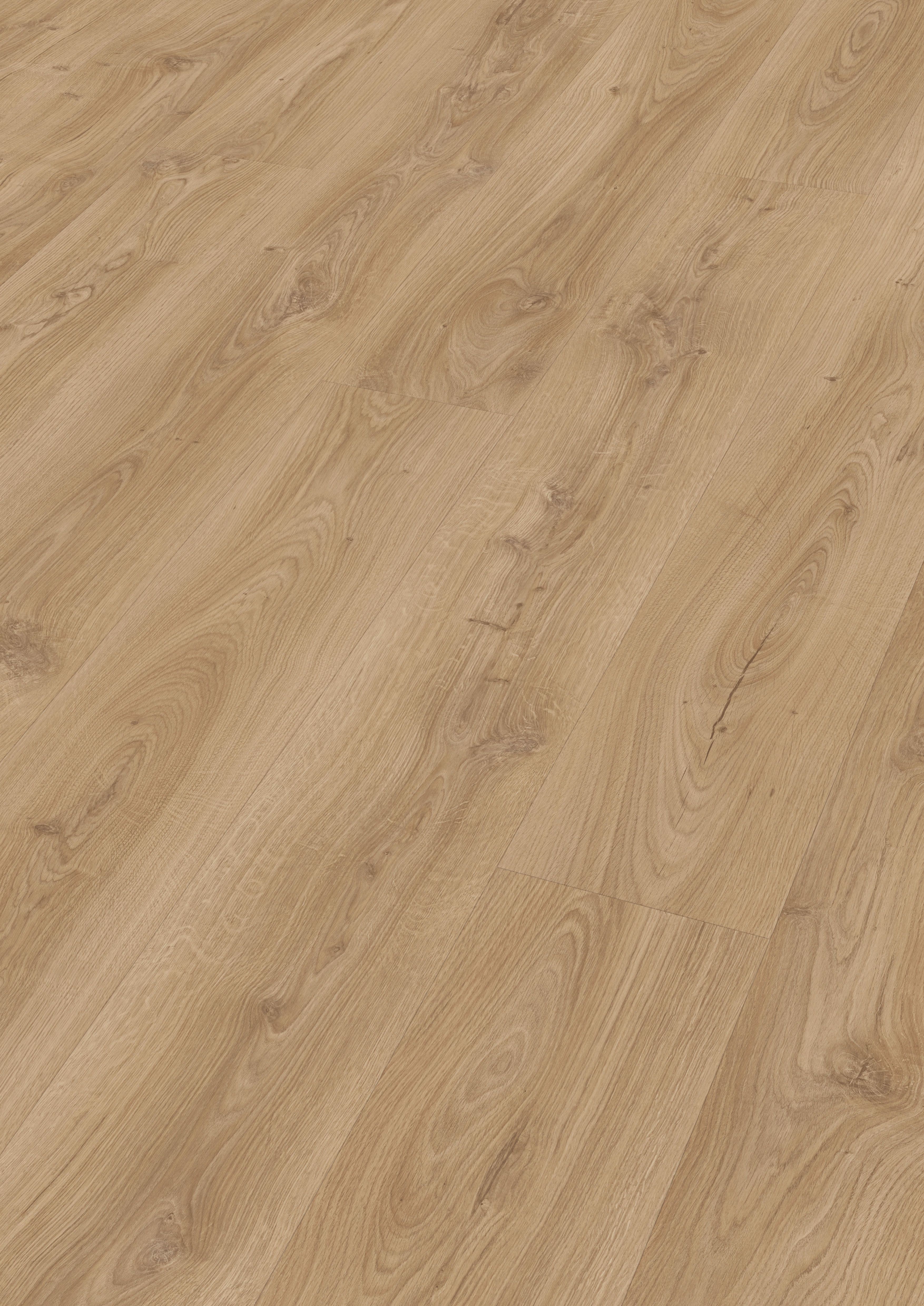MEISTER Laminatboden MeisterDesign. laminate LL 250 2052 x 248 x 10 mm 06841 Schlosseiche hell Porensynchron-Struktur