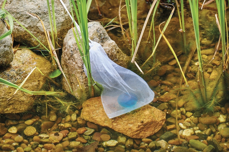 Oase DuoBoost 2 cm 250 ml