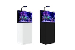 Red Sea MAX NANO Peninsula Aquarium mit Unterschrank