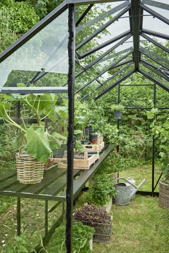 Halls Gewächshaus Burford 610 - 6,2 m² inkl. integrierten Fundamentrahmen