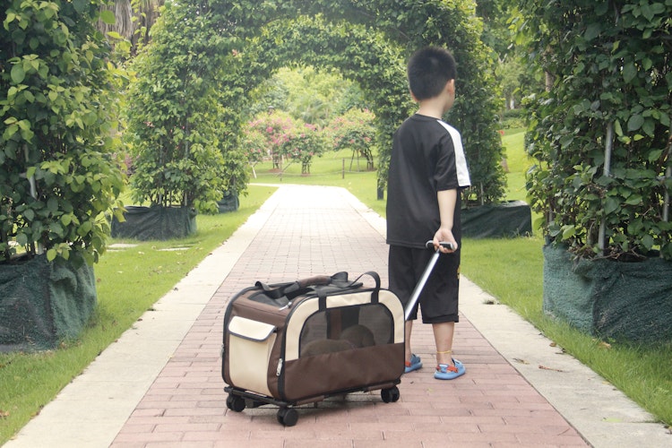 NOBBY Trolley "MOVE" braun 55 x 32 x 32 cm