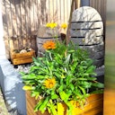 BambusBASIS Steinlampe - handgefertigt