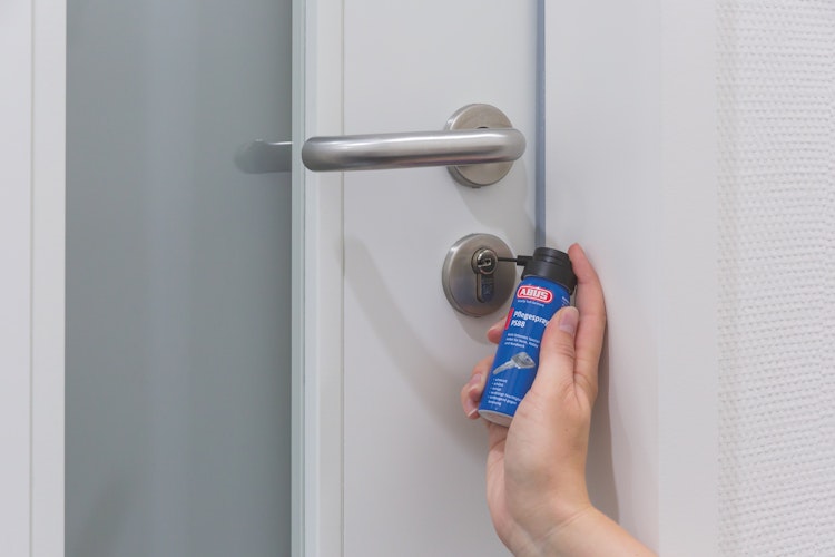 ABUS Pflegespray PS88 SB