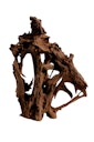 Vorschaubild aquadeco Naturholz Mangrove gestrahlt L 30-60cm Aquariendekoration