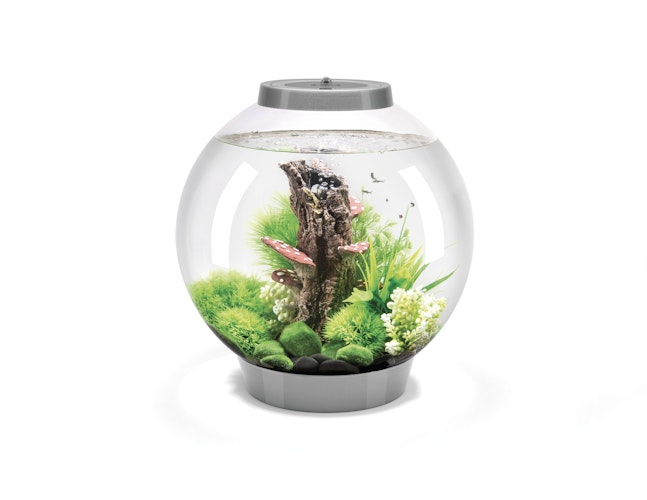 BiOrb Aquarium CLASSIC 30 MCR