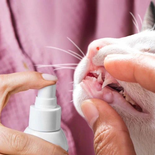 Tierliebhaber Dentalspray für Katzen