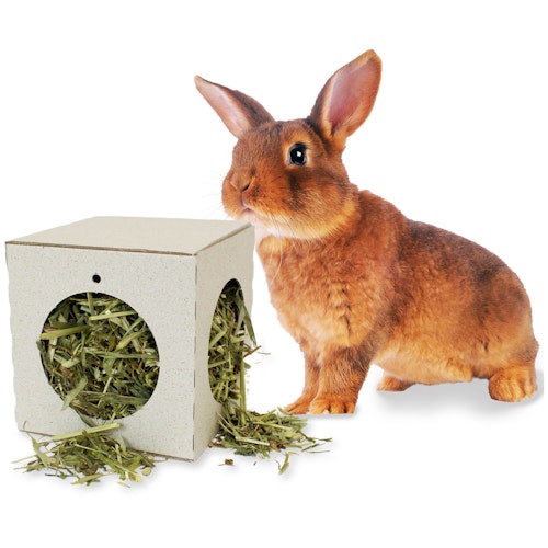 JR FARM Kräuter-Pendel 130 Gramm Kleintierfutter