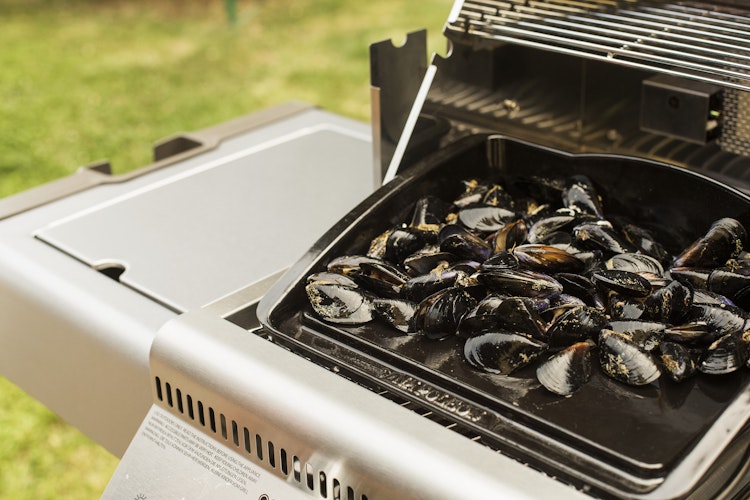 NAPOLEON Gusseiserne Grillplatte Plancha (56090)