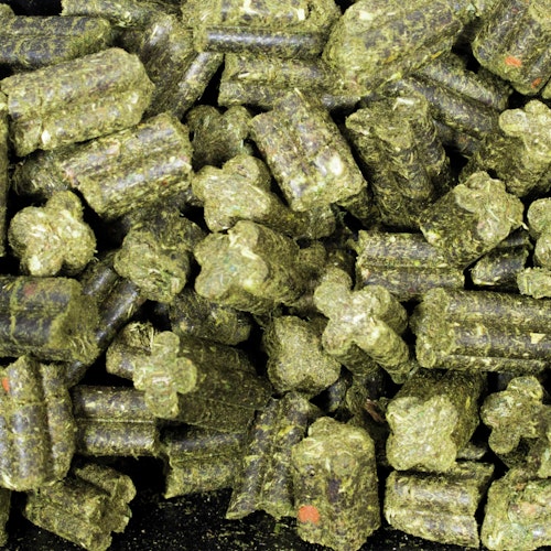 JR FARM Grainless Complete Meerschweinchen Kleintierfutter