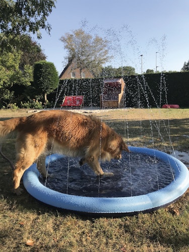 NOBBY Splash Pool Ø 150 cm