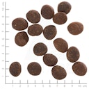 Vorschaubild WOLFSBLUT Polar Night Rentierfleisch mit Kürbis und Süßkartoffeln Hundetrockenfutter