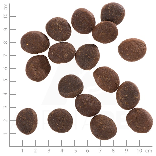 WOLFSBLUT Polar Night Rentierfleisch mit Kürbis und Süßkartoffeln Hundetrockenfutter