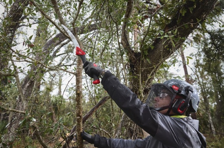 Milwaukee Handsäge klappbar gebogen 4932498624