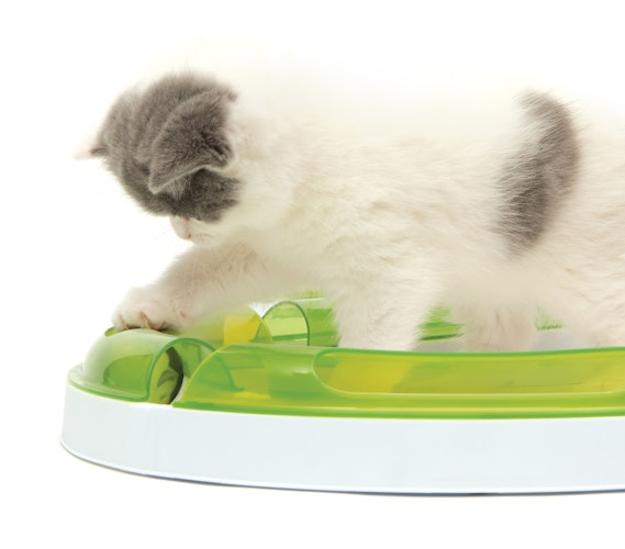 catit Senses 2.0 Play Circuit Katzenspielzeug