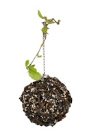 JR FARM Birds Schlemmer-Weidenkugel groß 300g Vogelsnack