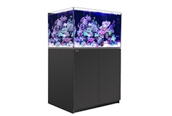 Red Sea REEFER™ 300 System G2+
