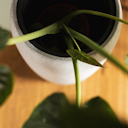 Vorschaubild Plant Pot Marlu