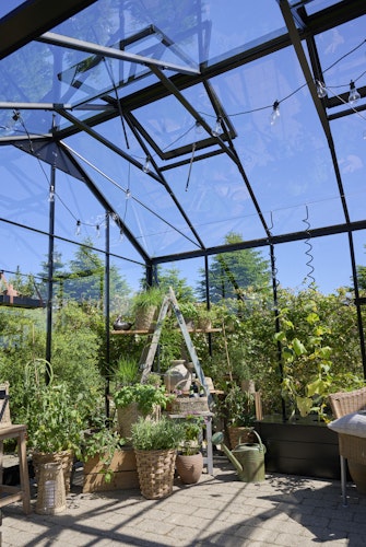 Juliana Gewächshaus Jubii 10,9 m²