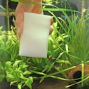 Vorschaubild HOBBY Bravo Algen-Radierer Aquarienpflege