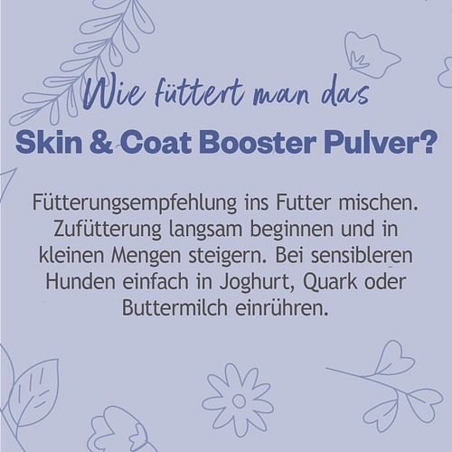 grau Hokamix30 Derma Nahrungsergänzung
