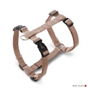 Vorschaubild Wolters Professional champagner Geschirr