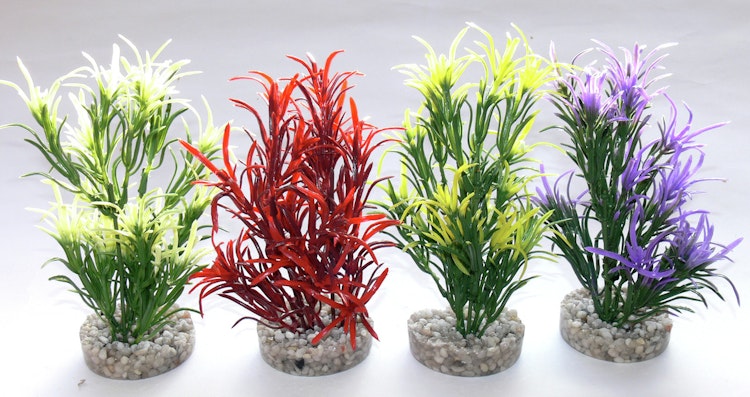 Sydeco Sea grass M 25 Zentimeter Aquariendekoration