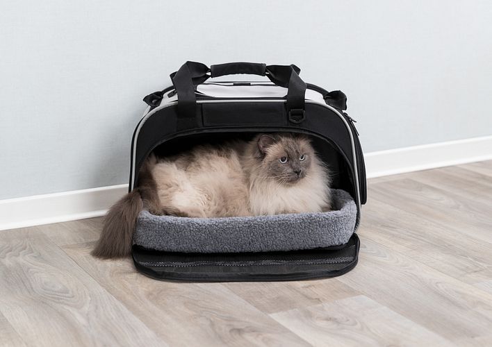 TRIXIE Wohn- und Transporttasche Valery, 29 × 31 × 49 cm, schwarz/grau