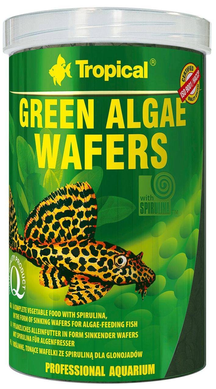 Tropical Green Algae Wafers Fischfutter