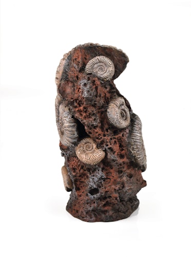 biOrb Muschelbaumstumpf Ornament