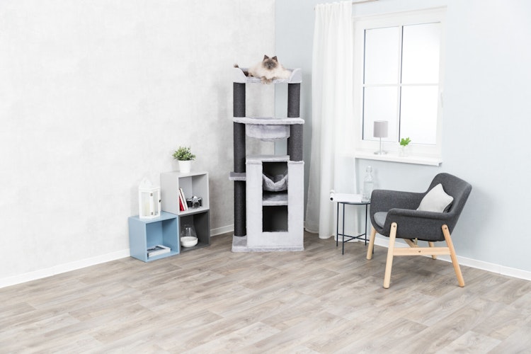 TRIXIE Kratzbaum XXL Leandro