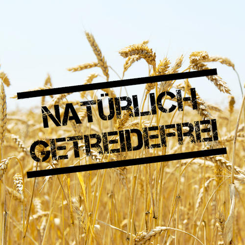 LEITWOLF Selected Fisch mit Kartoffeln