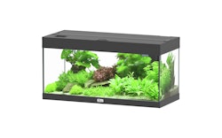 aquatlantis Prestige 80 schwarz Aquarienset