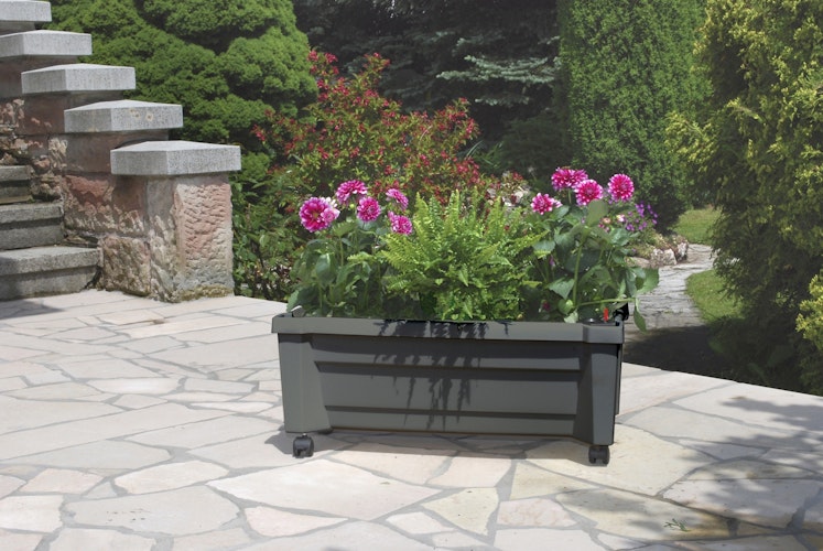 KHW Calypso Pflanzkasten auf Rollen mit Bewässerungssystem