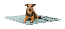 TRIXIE Reisedecke CityStyle, eckig, 80 × 80 cm, salbei